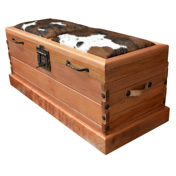 Trunk  trk17-3 - Jorge Kurczyn Furniture